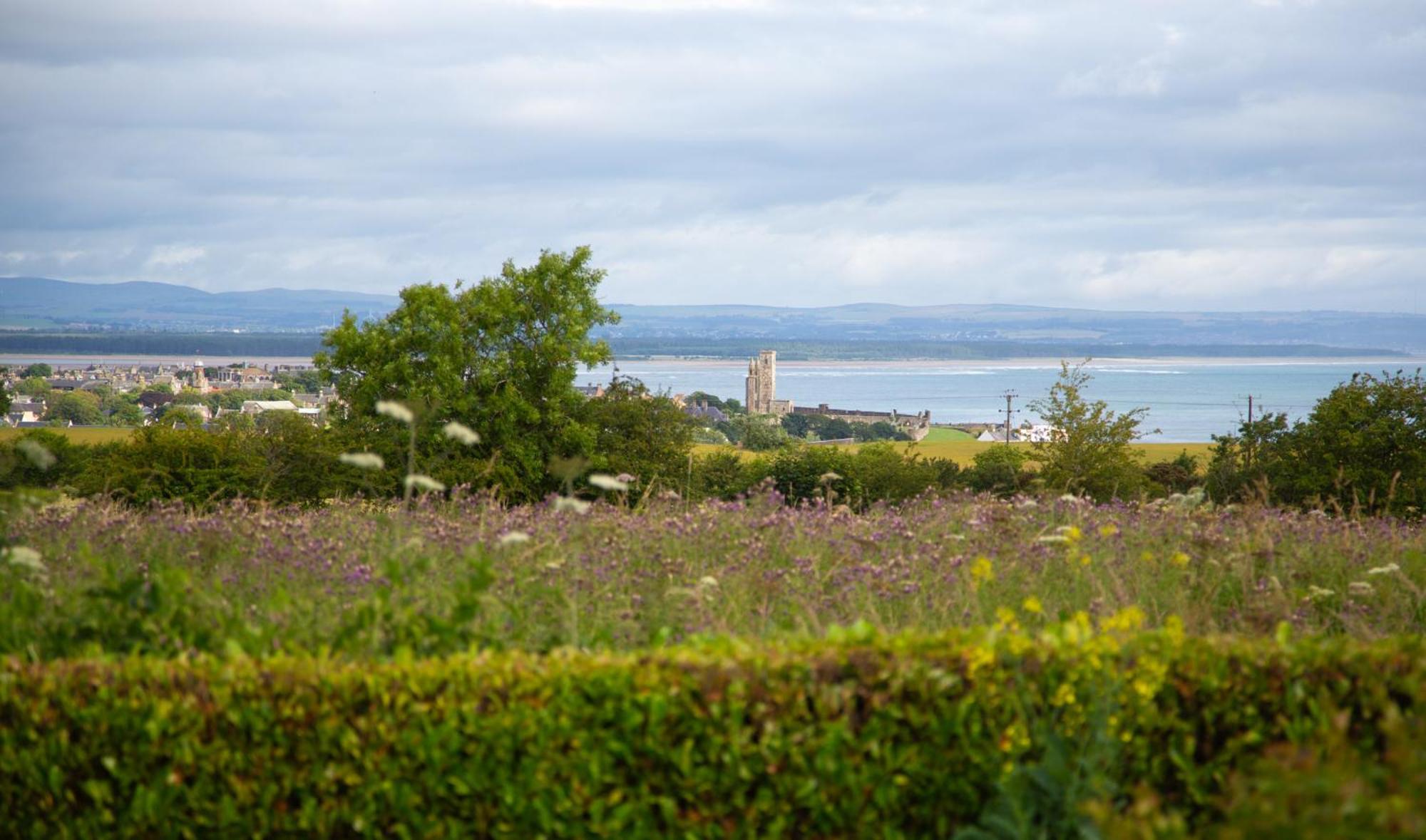 Balmungo Cottage B&B St Andrews Exteriér fotografie