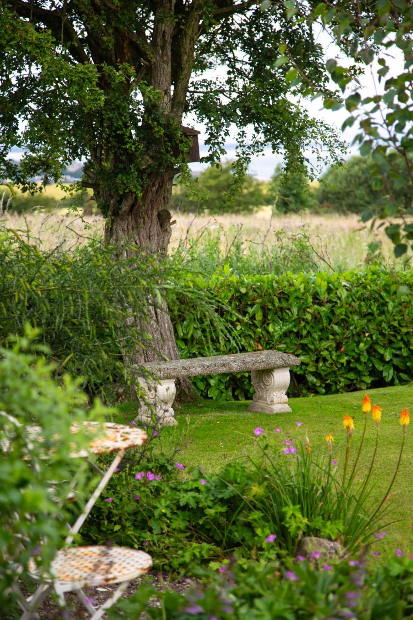 Balmungo Cottage B&B St Andrews Exteriér fotografie