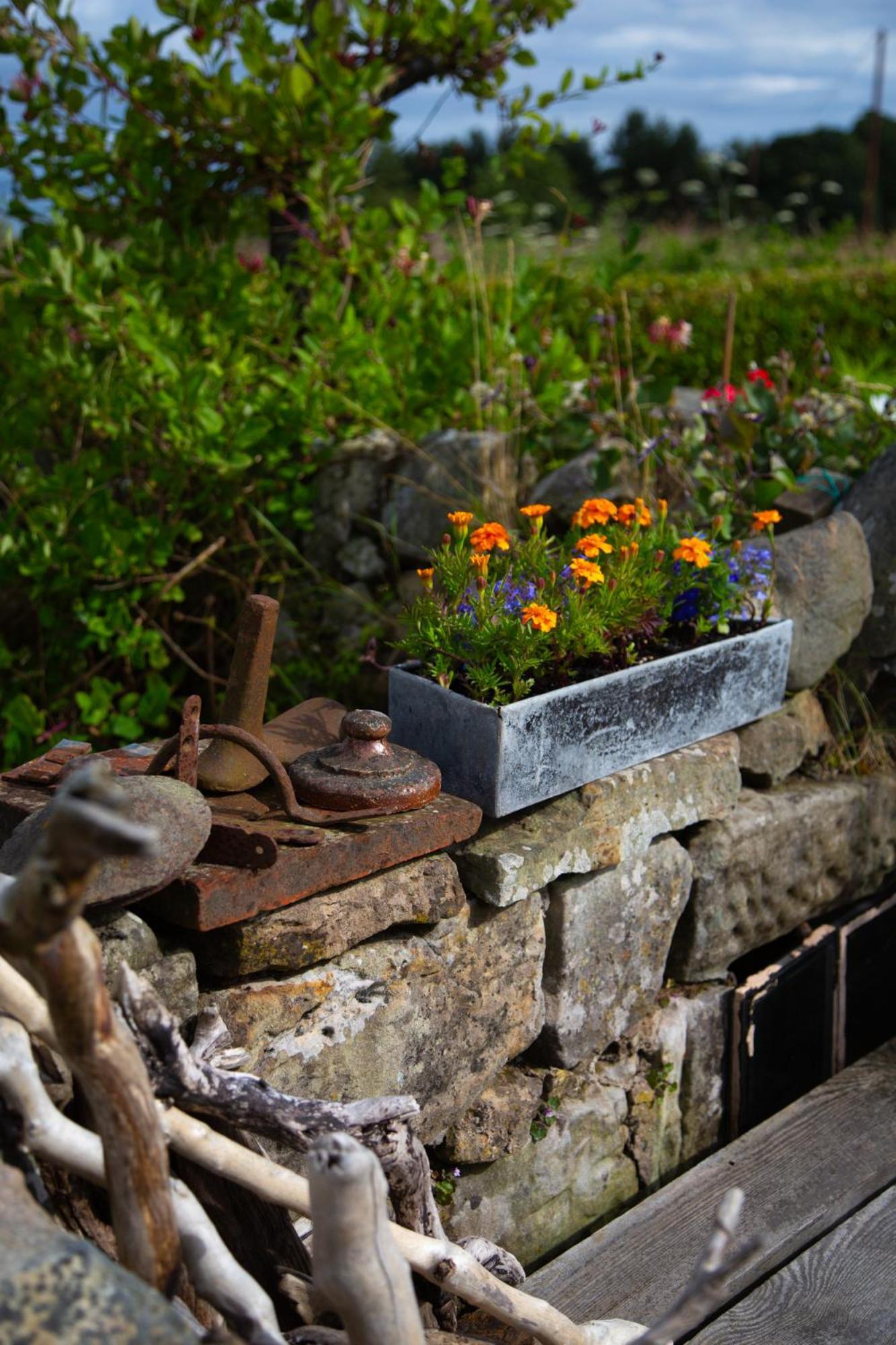 Balmungo Cottage B&B St Andrews Exteriér fotografie