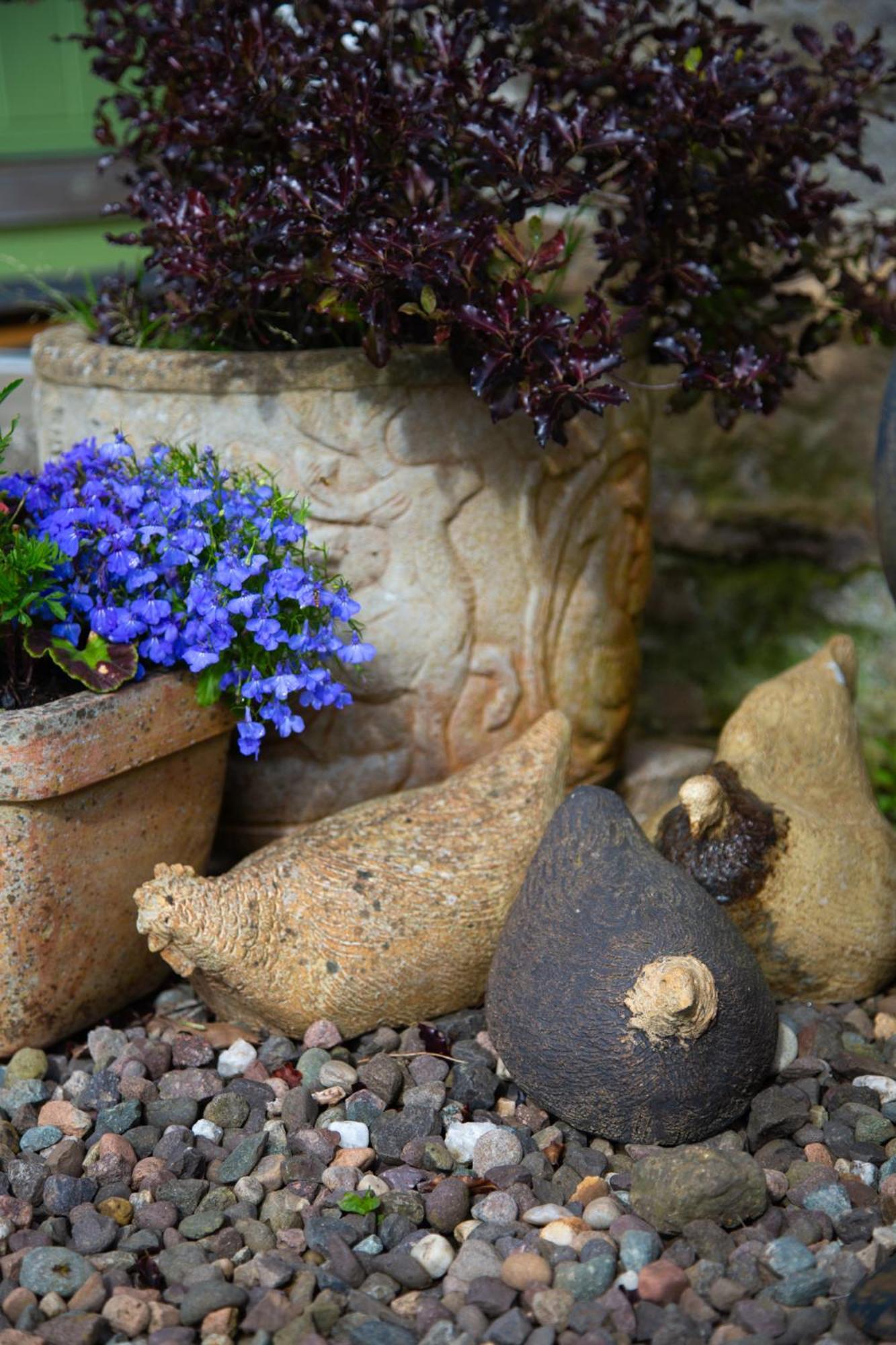 Balmungo Cottage B&B St Andrews Exteriér fotografie
