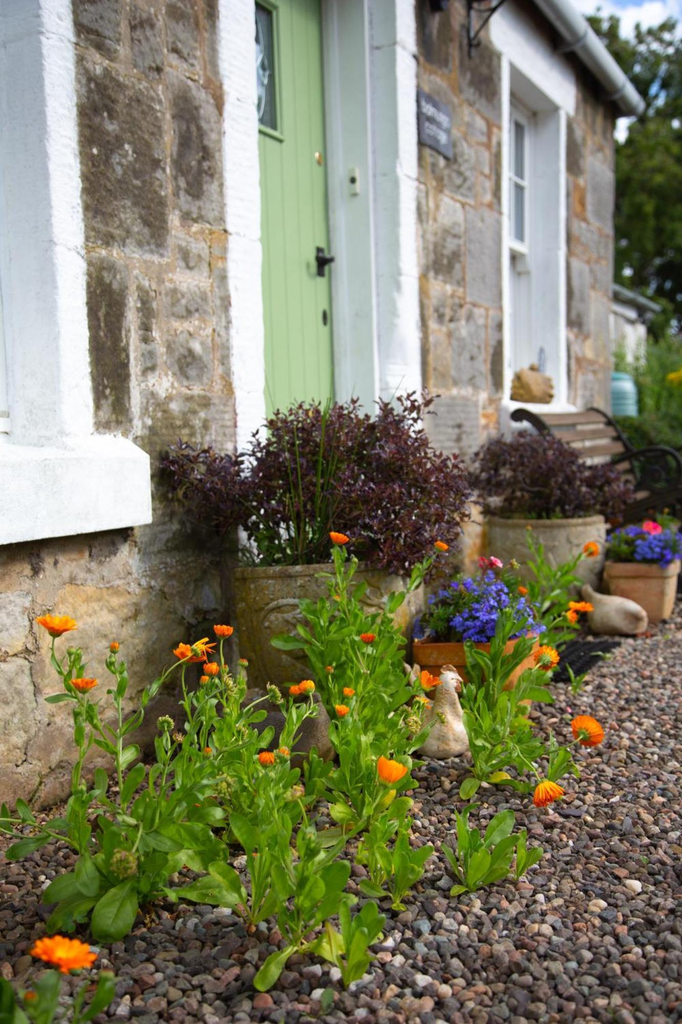Balmungo Cottage B&B St Andrews Exteriér fotografie