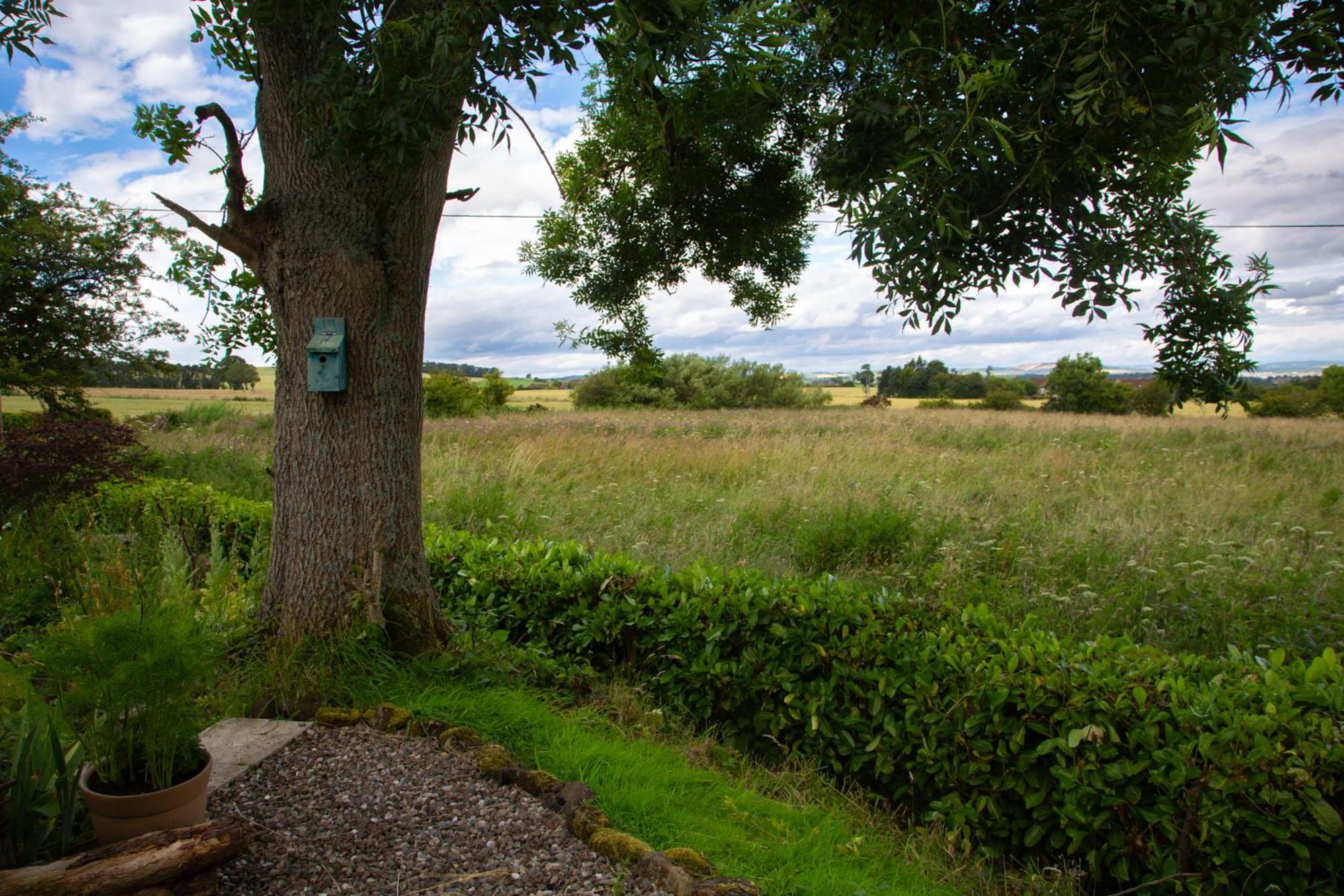 Balmungo Cottage B&B St Andrews Exteriér fotografie