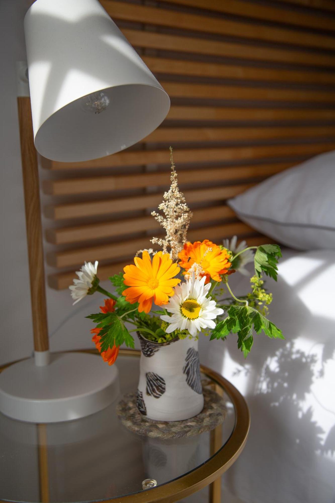 Balmungo Cottage B&B St Andrews Exteriér fotografie